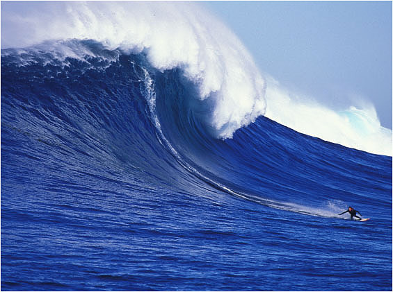 surf