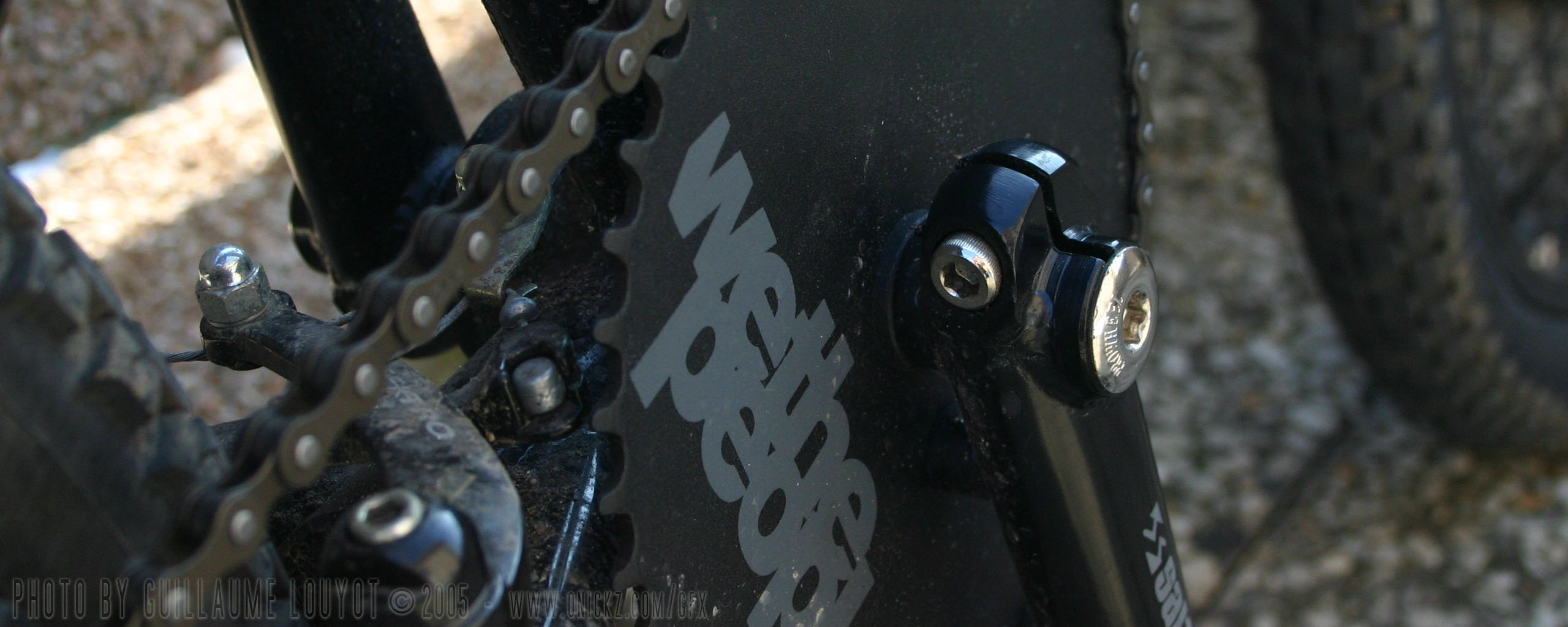 Close-up of a We The People BMX chain, sprocket and crank