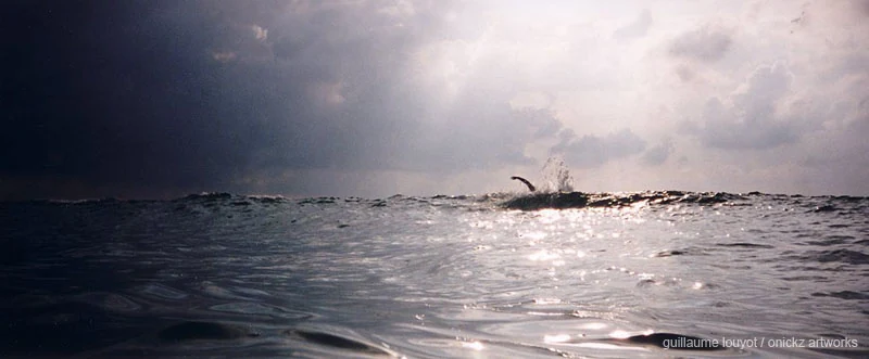 Lumière sur l’océan — Biarritz et Pays basque, Guillaume Louyot