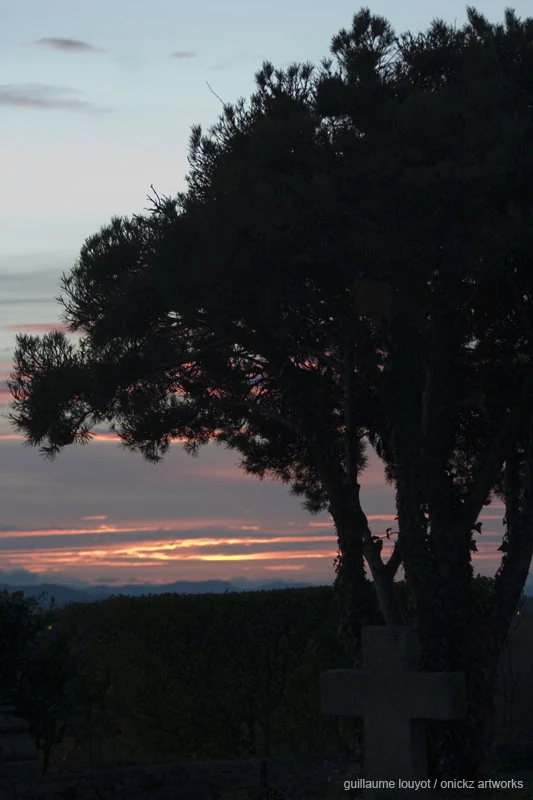 Arbre au crépuscule — Biarritz et Pays basque, Guillaume Louyot