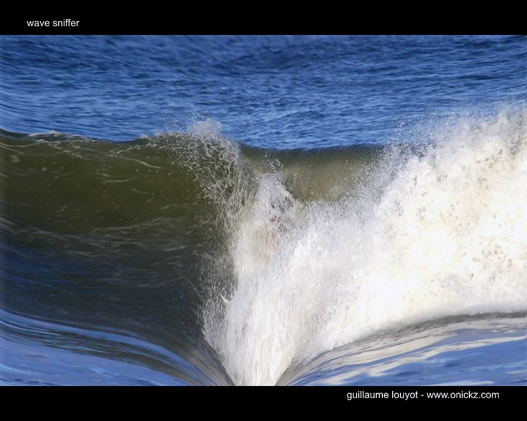 Wave Sniffer, création de Guillaume Louyot