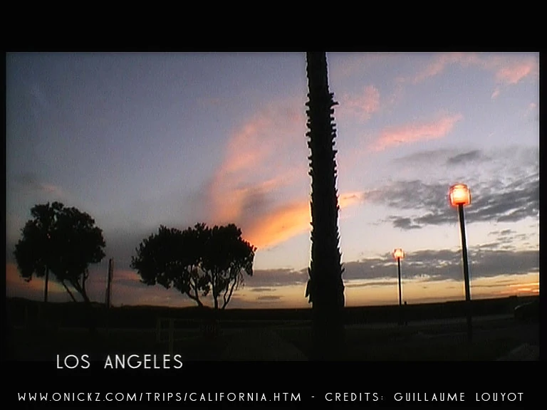 Palm trees at sunset in Los Angeles